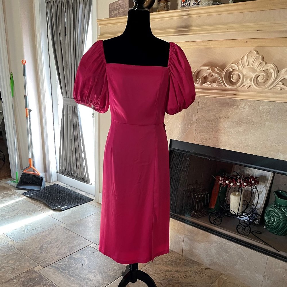 NWT Fuschia Pink Gorgeous Puff sleeves  Lined dress size 12